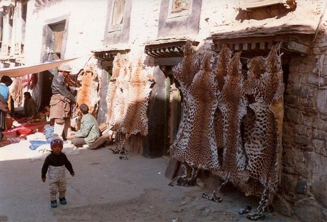 老城记忆：1985年的拉萨，最后一张卖肉的摊位很豪放
