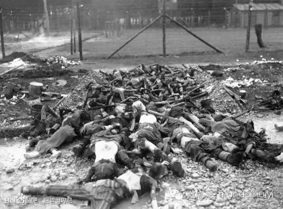 罕见老照片记录集中营的悲惨情形